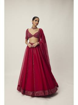 Vvani by Vani Vats - Ruby Red Organza Lehenga with Blouse and Dupatta