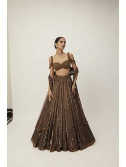 Vvani by Vani Vats - Copper Crystal Linear Embroidered Lehenga with Blouse and Dupatta