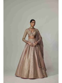 Vvani by Vani Vats - Deep Beige Lehenga with Blouse and Dupatta