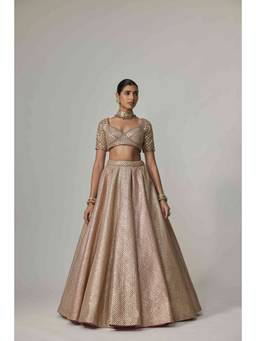 Vvani by Vani Vats - Deep Beige Metallic Lehenga with Blouse and Dupatta