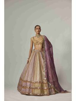 Vvani by Vani Vats - Multicolor Heavy Metallic Lehenga with Blouse and Dupatta