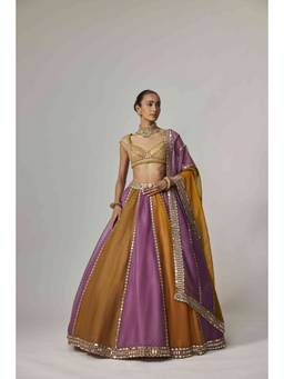 Vvani by Vani Vats - Multicolor Linear Lehenga with Blouse and Dupatta