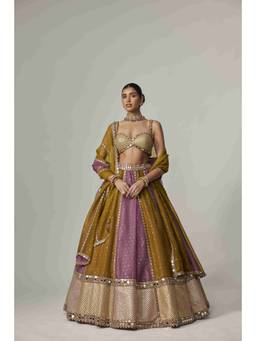 Vvani by Vani Vats - Multicolor Sequin Scatter Lehenga with Blouse and Dupatta