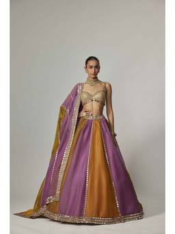 Vvani by Vani Vats - Multicolor Linear Lehenga with Blouse and Dupatta