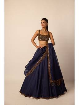 Vvani by Vani Vats - Deep Blue Tassel Lehenga With Blouse And Dupatta