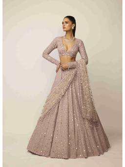 Vvani by Vani Vats - Ash Pink Lehenga With Blouse And Dupatta