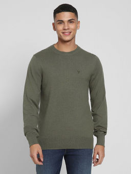 American Eagle - Olive Crew Neck Sweater