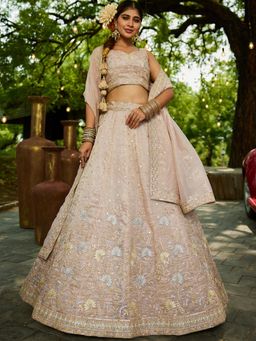 Panchhi - Nude Embroidery Semi-Stitched Lehenga with Stitched Choli and Dupatta