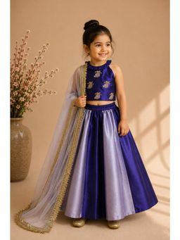 BYB Premium - Girls Royal Purple Hand Embroidered Woven Cotton Lehenga Choli