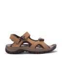 Brown color option, Sold out, Currently selected