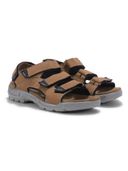 Brown color option, Sold out, Currently selected