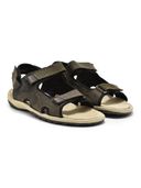 Olive color option, Sold out, Currently selected
