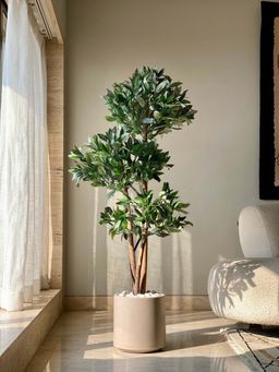 Mason Home - Artificial Bay Topiary Plant