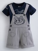 Grey color option, Currently selected