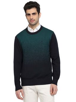 ColorPlus - Green Pure Cotton Full Sleeves Sweater