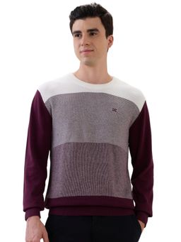 ColorPlus - Maroon Pure Cotton Full Sleeves Sweater