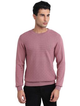 ColorPlus - Purple Pure Cotton Full Sleeves Sweater