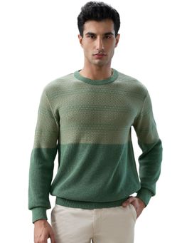 ColorPlus - Green Pure Cotton Full Sleeves Sweater