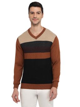 ColorPlus - Brown Wool Blend Full Sleeves Sweater