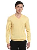Yellow color option, Currently selected