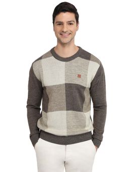ColorPlus - Brown Acrylic Blend Full Sleeves Sweater