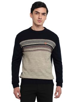 ColorPlus - Blue Acrylic Blend Full Sleeves Sweater