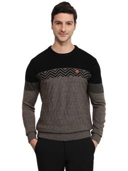 ColorPlus - Brown Acrylic Blend Full Sleeves Sweater