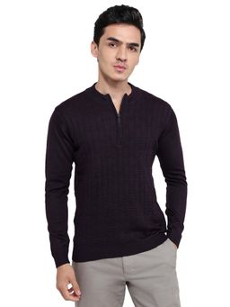 Park Avenue - Purple Acrylic Blend Full Sleeves Sweater