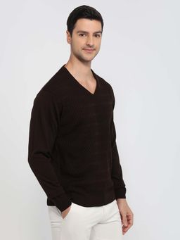 Park Avenue - Brown Acrylic Blend Full Sleeves Sweater