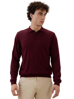 Raymond - Maroon Wool Blend Full Sleeves Sweater
