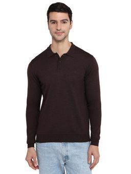 Raymond - Brown Wool Blend Full Sleeves Sweater