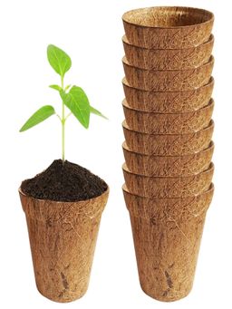 Ecofynd - Pack Of 10, 4 Inches Coir Pots