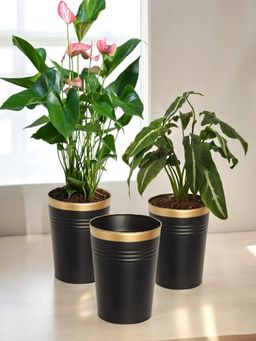 Ecofynd - Pack Of 3, 7 Inches Black Metal Planters for Living Room