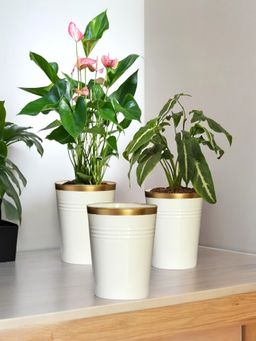 Ecofynd - Pack Of 3, 7 Inches White Metal Planters for Living Room