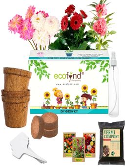 Ecofynd - 3 In 1 Diy Growkit for Zinnia, Balsam & Dahlia