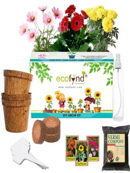 Ecofynd - 3 In 1 Diy Growkit for Marigold, Sunflower and Cosmos Mix
