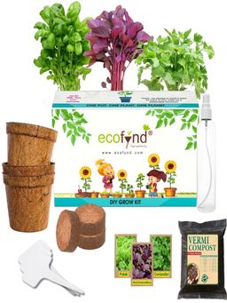 Ecofynd - 3 In 1 Diy Leafy Vegetable Grow Kits: Red Amaranth, Spinach & Coriander