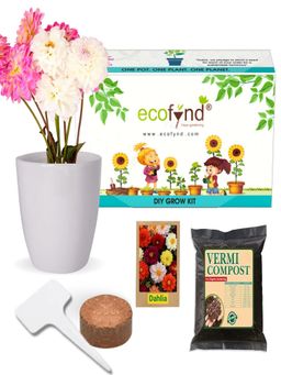 Ecofynd - Grow Kit Of Dahlia Flower