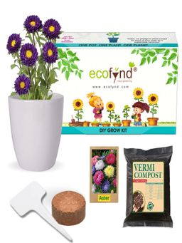 Ecofynd - Diy Grow Kit Fo Aster Mix