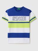 Multi-Color color option, Currently selected