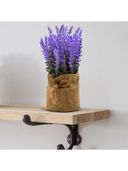 Purple color option, Sold out, Currently selected