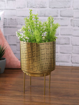 HomeTown - Skylar Iron Square Stand Planter in Black-Gold Colour