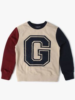 GAP - Boys Beige Casual Knitted Crew Neck Colorblock Full Sleeves Sweatshirt