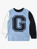 Blue color option, Currently selected