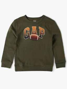 GAP - Boys Green Casual Knitted Crew Neck Graphic Full Sleeves Sweatshirt
