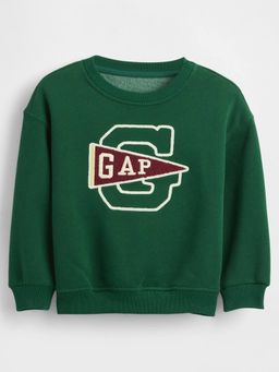 GAP - Boys Green Casual Knitted Crew Neck Textured Full Sleeves Sweatshirt