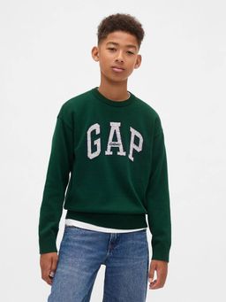 GAP - Boys Green Casual Cotton Crew Neck Graphic Full Sleeves Sweatshirt