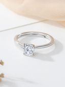 Silver color option, Currently selected