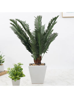 HomeTown - Ilana Faux Cycas Ceramic Potted Plant 55 Cm in Green Colour