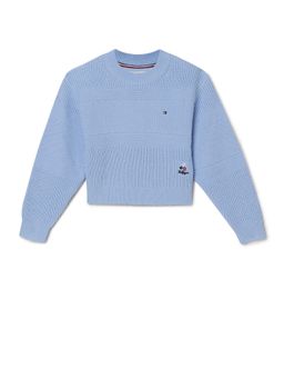 Tommy Hilfiger - Girls Solid Regular Fit Cotton Blue Sweater